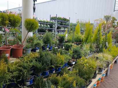 Garden Centre by Homebase (inside The Range) - Edinburgh Craigleith