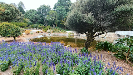 Centennial Garden Waterfall