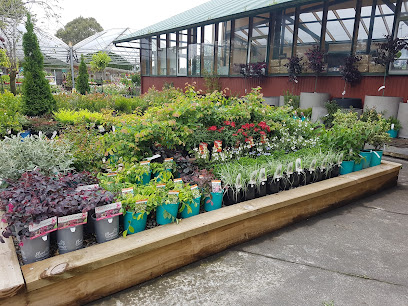 Oderings Garden Centre Christchurch - Yaldhurst