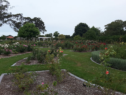 Kennedy Park Rose Garden