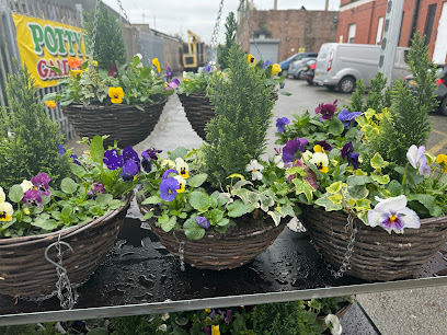 Potty Pats garden centre potty pats pumpkin patch