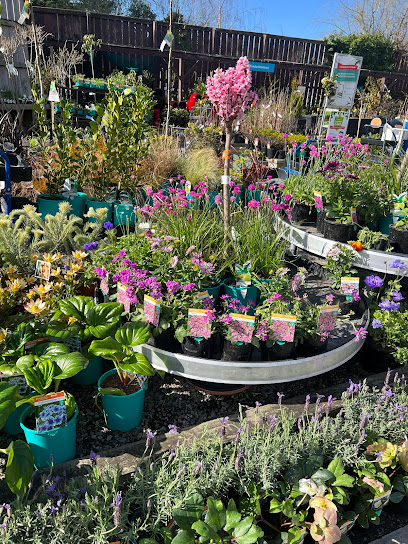 Oderings Garden Centre Cashmere