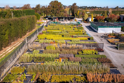 Kiwiflora Nursery – Christchurch Garden Centre