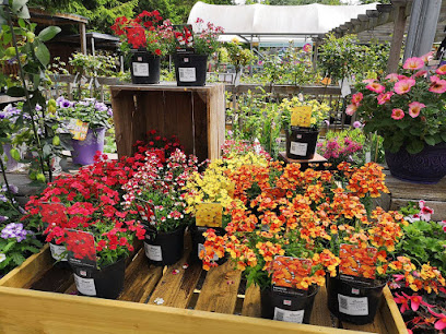 Elmwood Nursery & Garden Centre