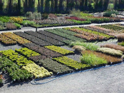 Midland Horticulture - Wholesale Tree and Shrub Nursery