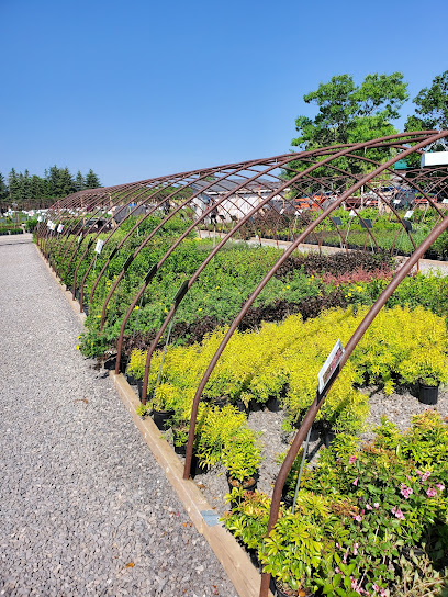 Northland Nursery