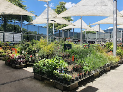 Bunnings Warehouse Nelson