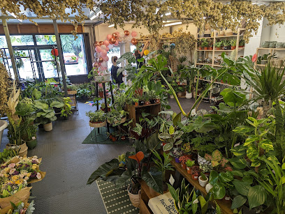 Poppy's Potting Shed