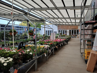 Mitre 10 MEGA Napier