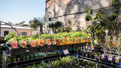 Newtown Garden Market