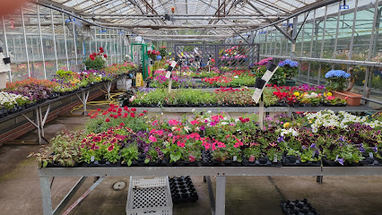 Kings Heath Garden Centre