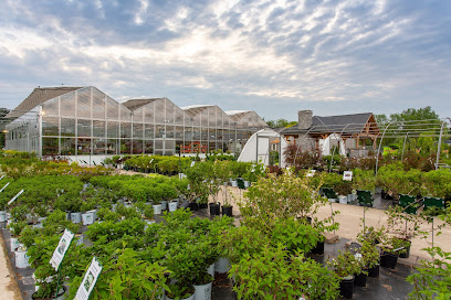 Fora Outdoor Living