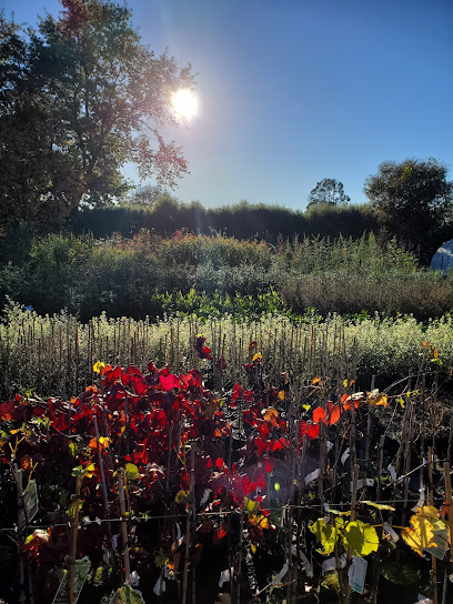 Deans Nursery - For Trees, Shrubs & More in Nelson