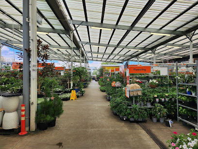 Mitre 10 MEGA New Lynn
