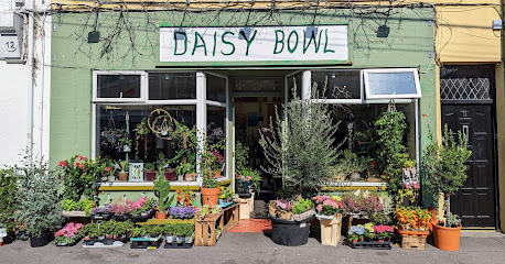 Daisy Bowl Florists | Local Florist Galway