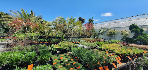 Texture Plants