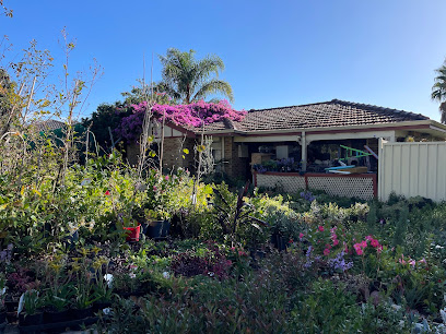 Pot Plant Heaven Perth