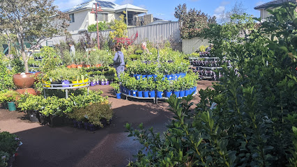 Waldecks Garden Centre | Stirling