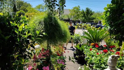 Butterfly Blooms Garden Centre