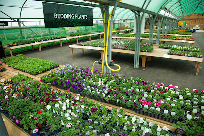 Blaise Plant Nursery