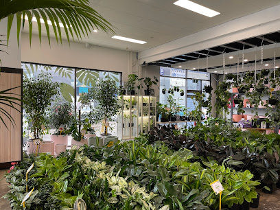 Melbourne Indoor Plants