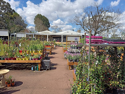 Waldecks Garden Centre | Kingsley