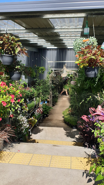Honeysuckle Garden Mosman