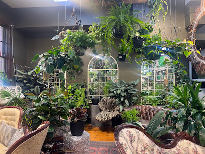 That Plant Shop