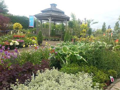 Haggardstown Garden Centre