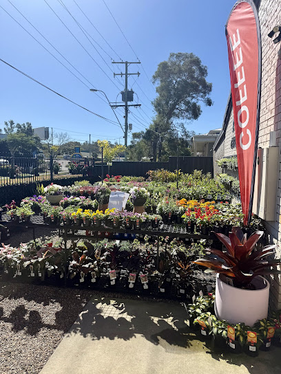 The Tropic Gardener - Rare and Indoor plants nursery, Brisbane