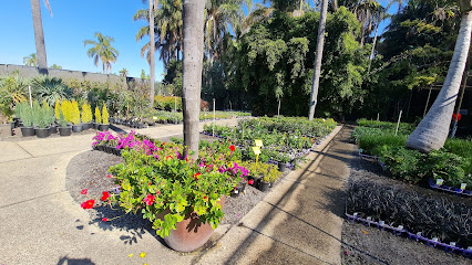 Landsdale Plants