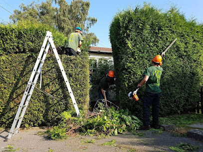 Galway Jetwashing & Tree care