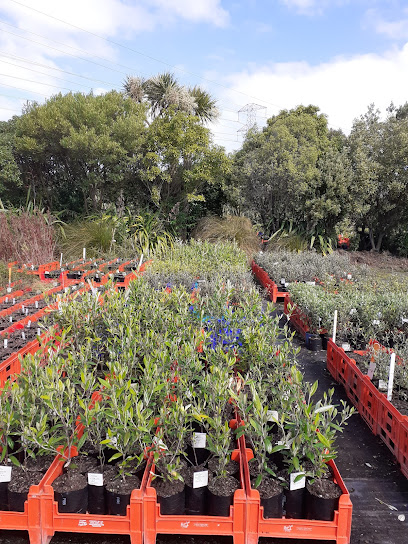 Trees For Canterbury