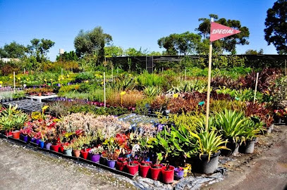Blooming Nursery