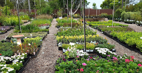 Sydney's Plant Market