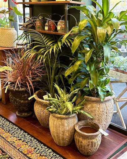 Stanley Green - Plant Shop & Cafe