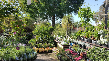 The Garden of Eden Nursery
