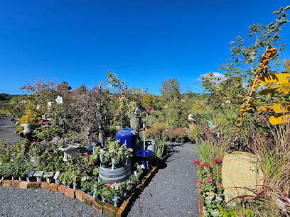 Blueskin Nurseries & Cafe