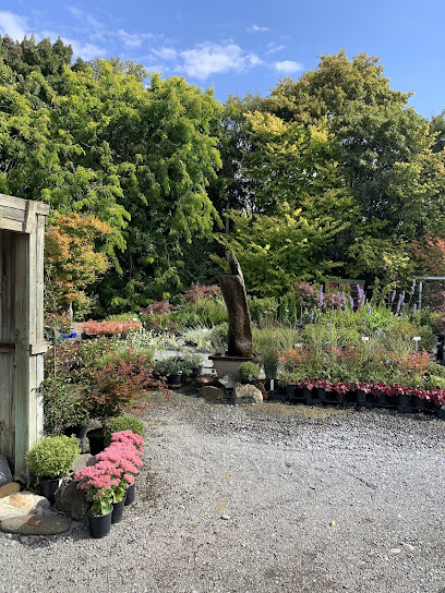 McSaveneys Nursery