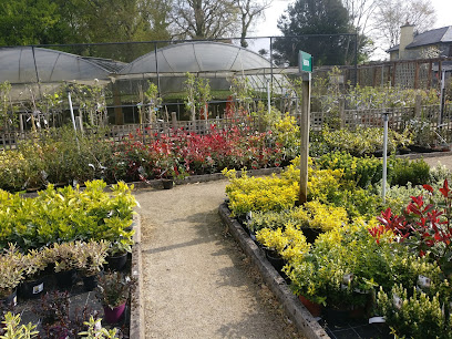 Dangan House Nurseries