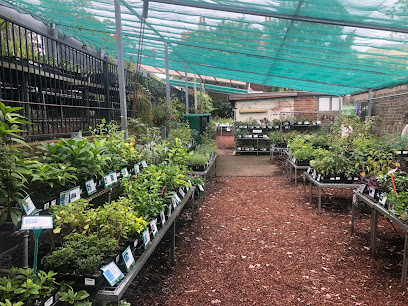 Growing Friends Plant Sales