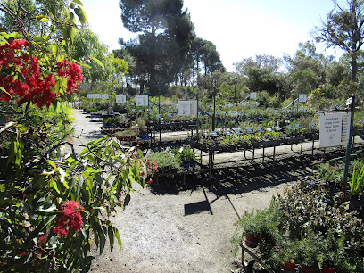 Australian Native Nursery