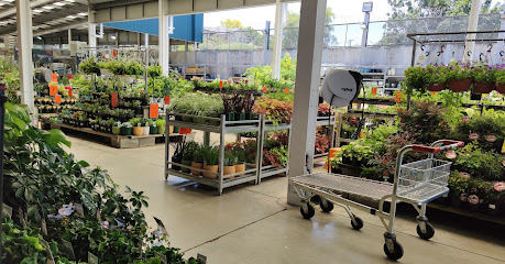 Bunnings Warehouse Mt Wellington