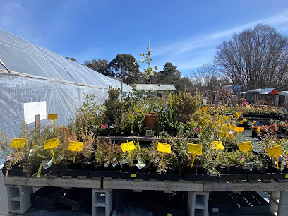 Canberra Nursery & Garden Centre