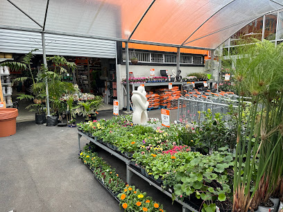 Mitre 10 Ponsonby