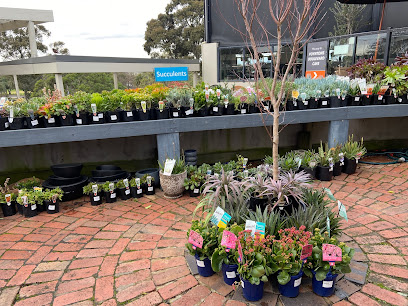 Poyntons Nursery