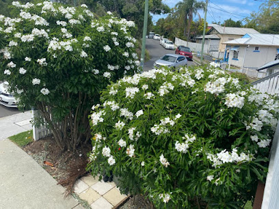 The Ruby Plants - Affordable Nursery Brisbane