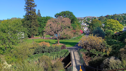 Dunedin Botanic Garden Lookout