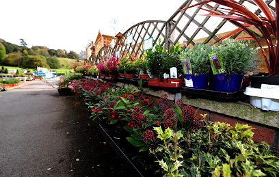 Almondsbury Garden Centre