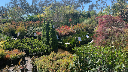 Parklea Pots And Plants